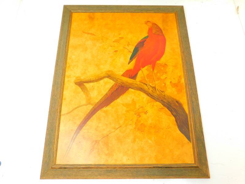 lot 59 image: R.T. Peterson Red Bird Print  (Vintage)