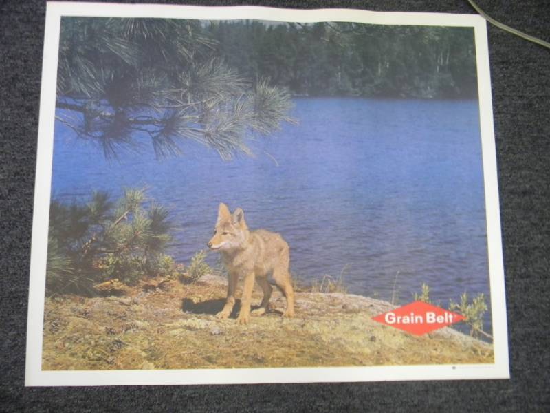 lot 18 image: RARE - VINTAGE GRAIN BELT BEER MPLS. BREWING CO. ADVERTISING PRINT - RARE - APPROX 33 BY 27 ON CANVAS TYPE PAPER - SEE PICTURES