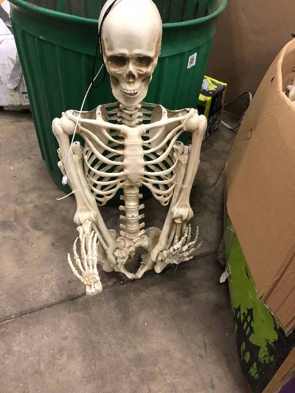 Home Accents Holiday 60 in. Glow-in-the-Dark Poseable Skeleton