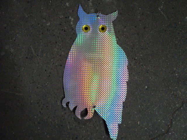 lot 208 image: Glimmering Owl...