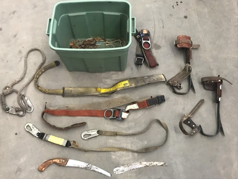 Tote Of Climbing Gear, Chains, Saws, Etc