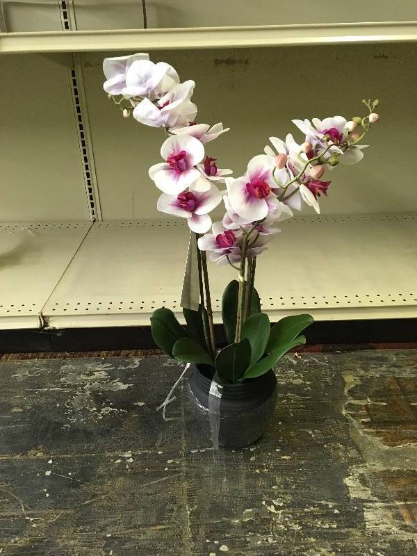 Faux Orchid Assortment, Retail $29.99