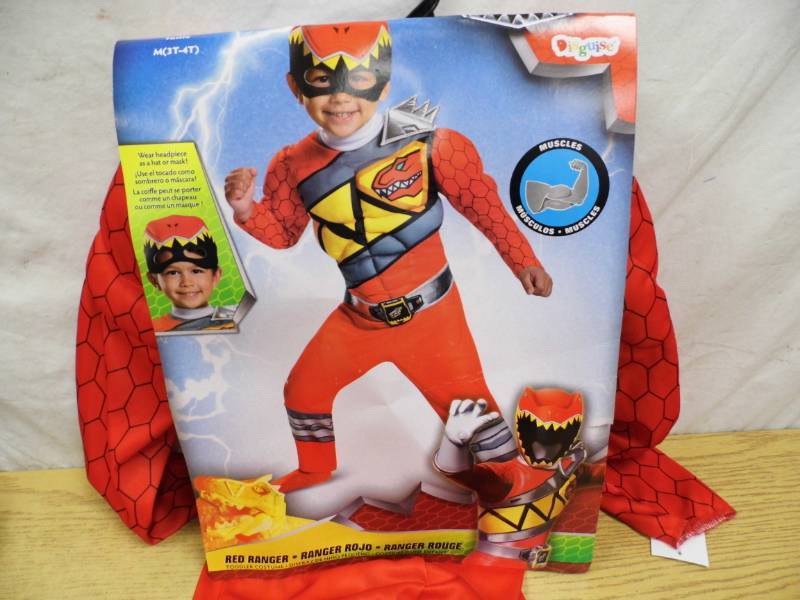 Power Ranger  Halloween Costume