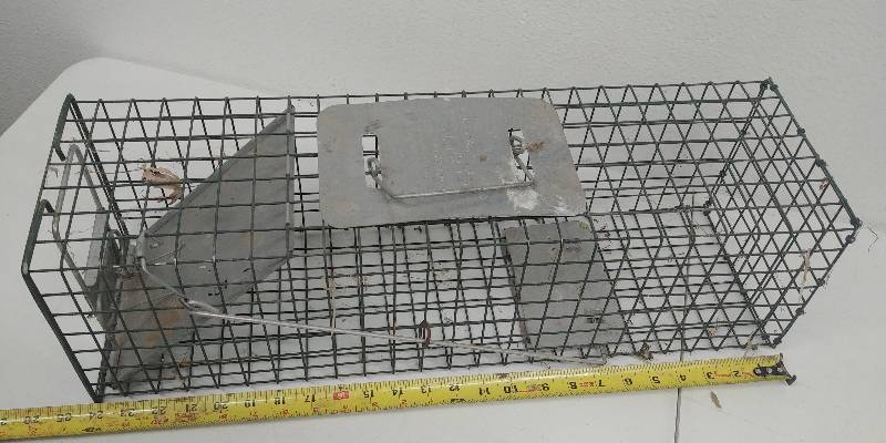 lot 40 image: Live Trap