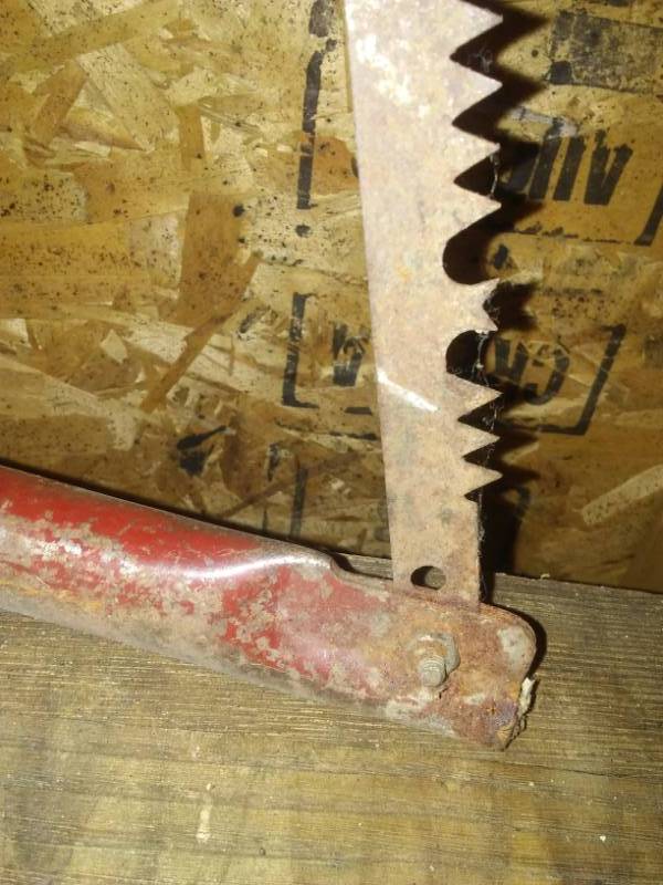 lot 121 image: Large tree saw, sharp, 37 x 12.