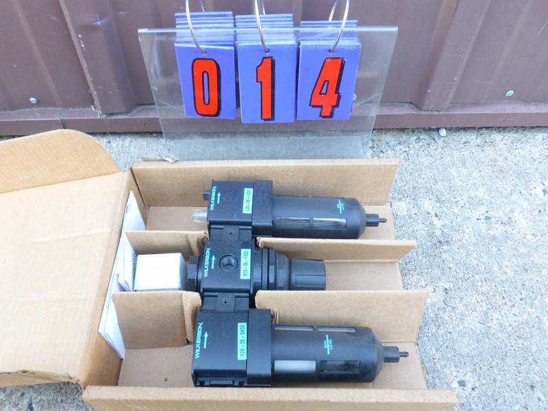 SnS Auctions # 339 Mid October Sale