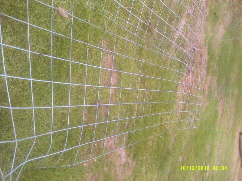 2 CATTLE PANELS