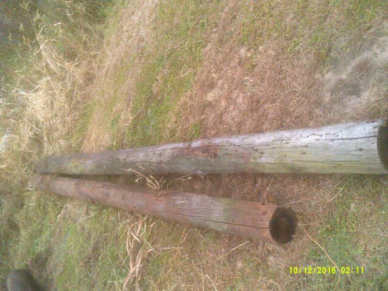 2 ELECTRIC POLES