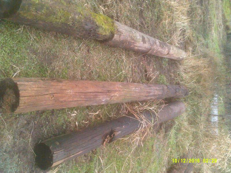 3 ELECTRIC POLES
