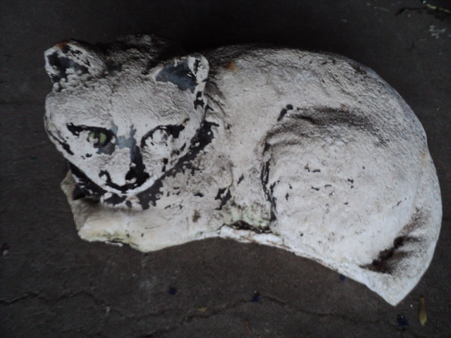 lot 97 image: raccoon...