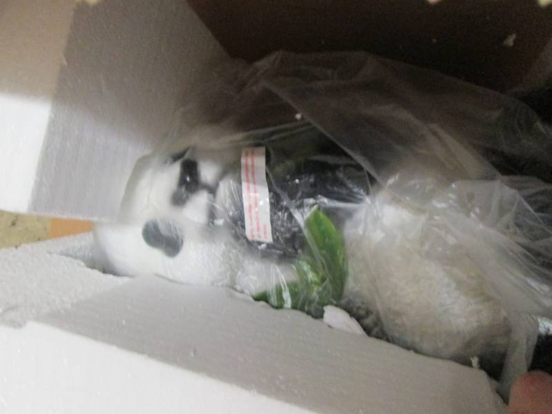 lot 174 image: Panda Table open box, no glass top ...