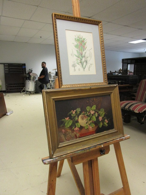 NUMBERED BOTANICAL  FRAMED LITHOGRAPH