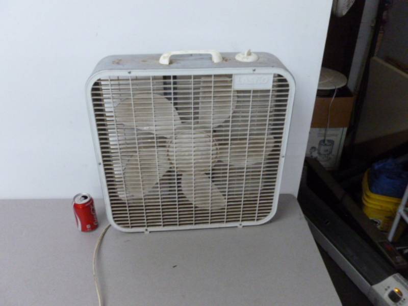 Fan