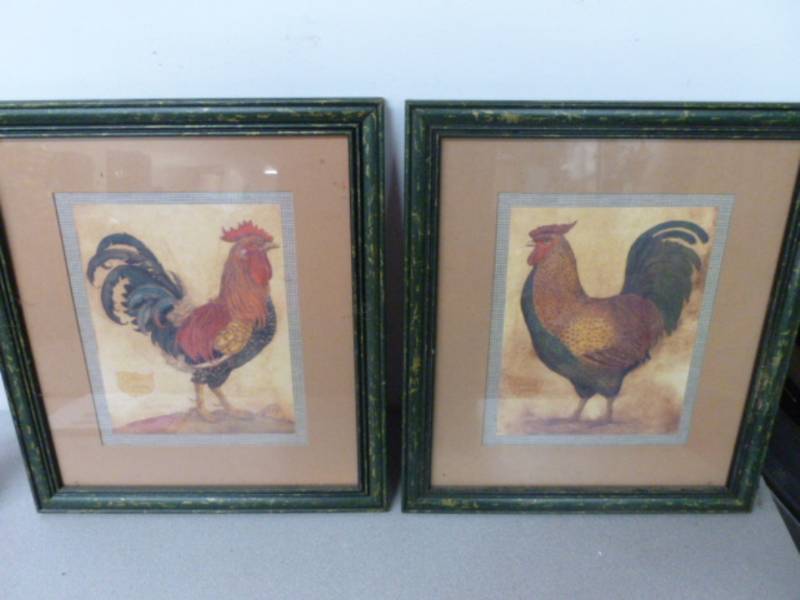 Chicken Pictures