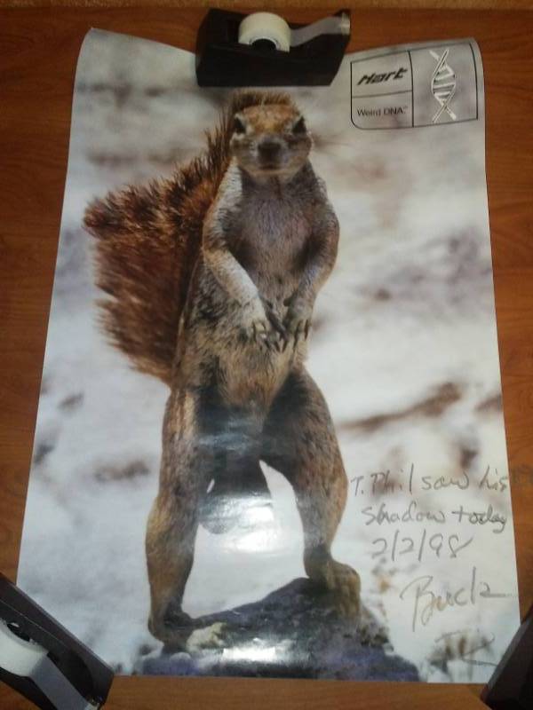 lot 62 image: Punxsutawney Phil, February 2nd, 1998 autographed poster