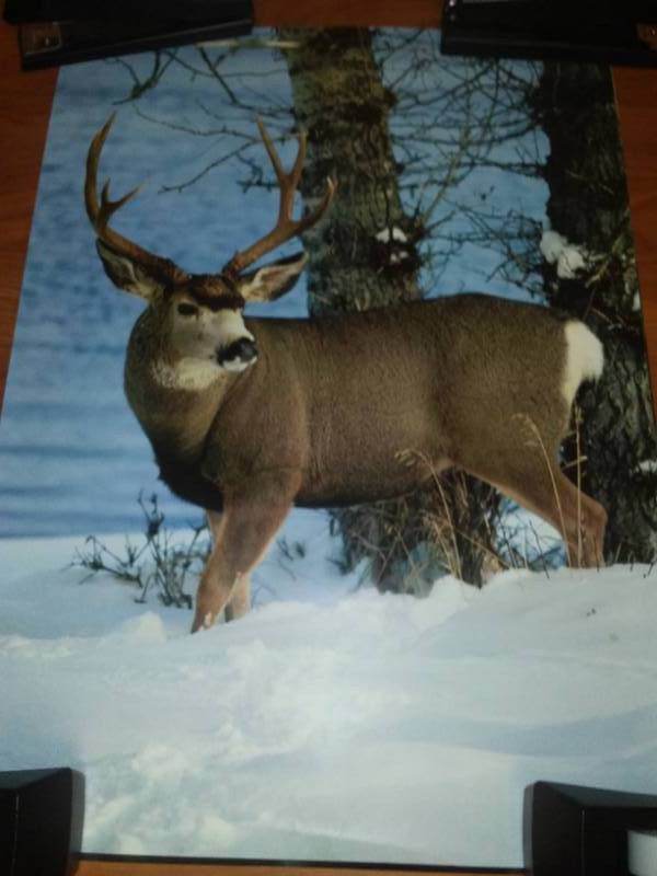 lot 117 image: 4 Prints, posters - Rockwell, Currier and Ives