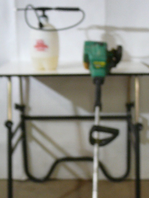 Bug Sprayer  Weed Eater