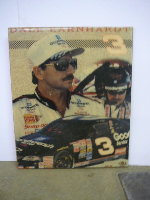 Dale Earnhardt Picture