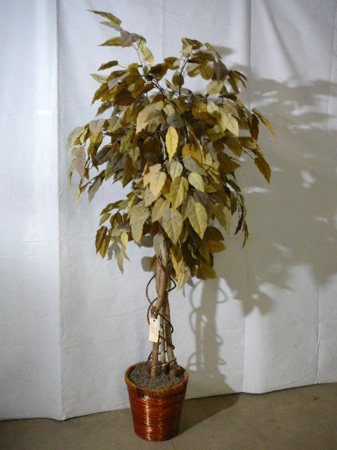 Large Fake Tree  Plant