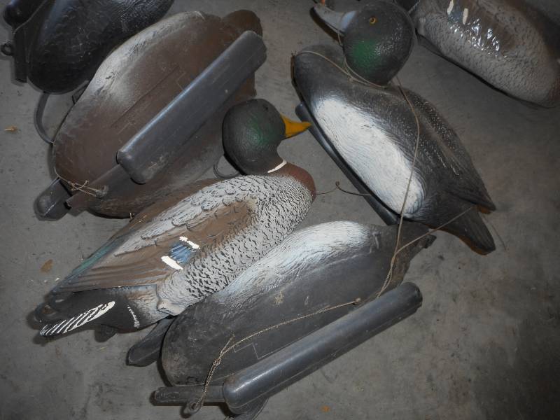 Duck Decoys