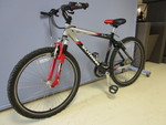 schwinn sx2000 aluminum