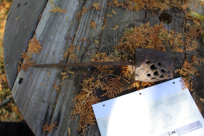 Owl Yard Art