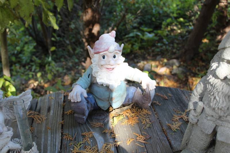 Gnome Yard Art