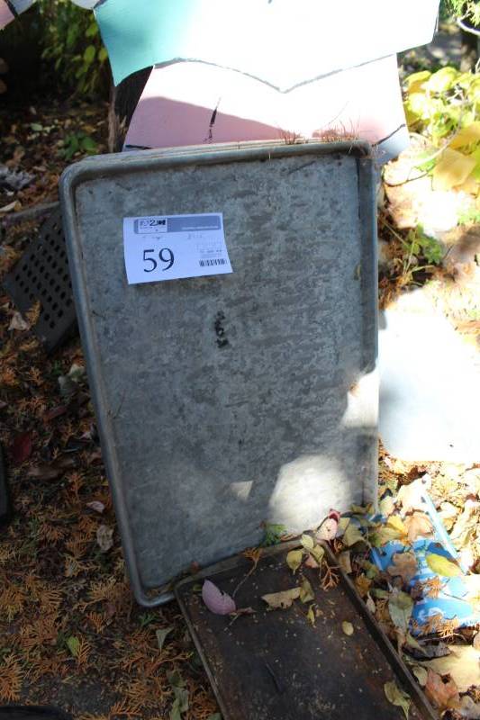 Lot of (5) Trays