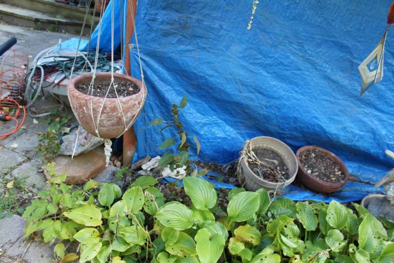 Lot of (3) Garden Planters