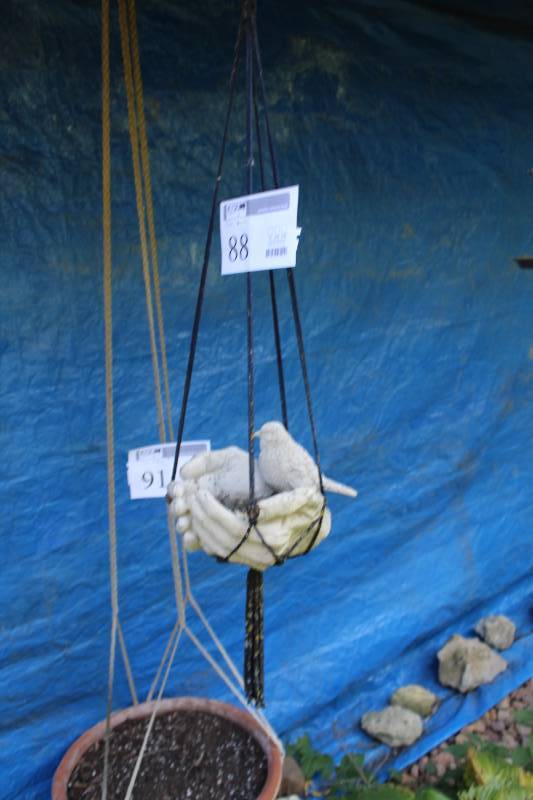 Bird In Hands Hanging Planter