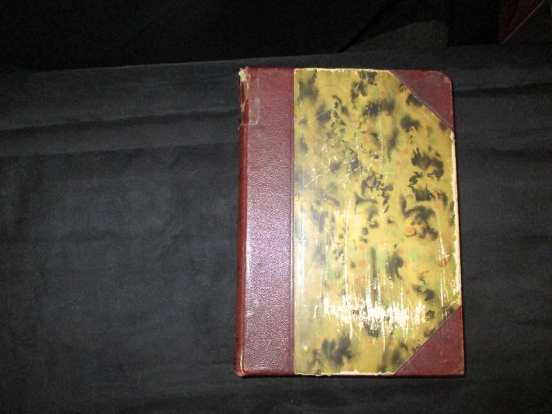 Antique Book Otter Tail Co. Illustrated Volume II, B F Bowen & Co 1916