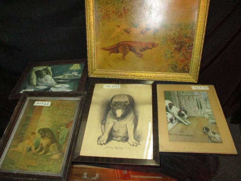 6 Dog Pictures