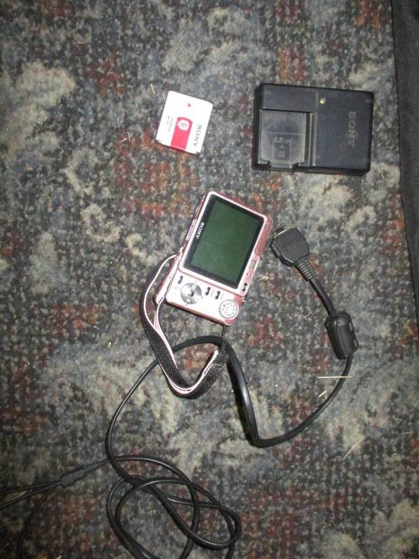 Kodak Camera with rechargable batteries and charger