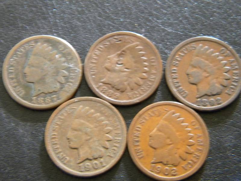 5 Indian Head Pennies