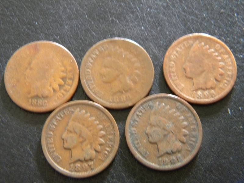 5 Indian Head Pennies