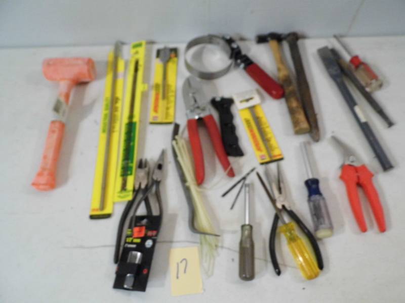 lot 17 image: Tools - Garage Items