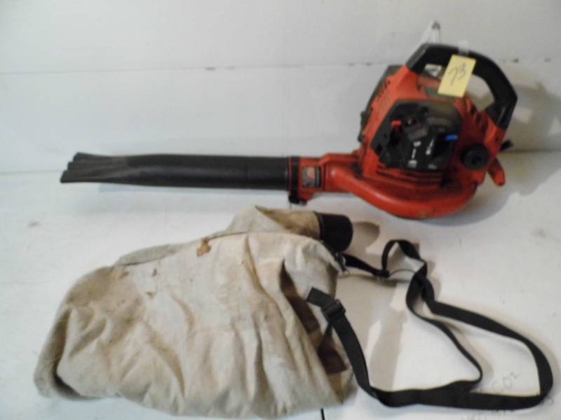 lot 73 image: Blower  Vac