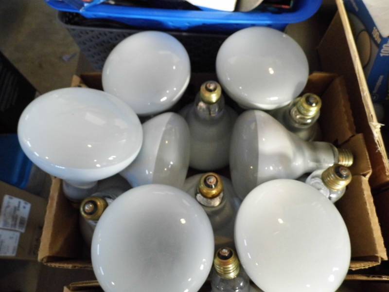 lot 131 image: Large Lot of Lightbulbs