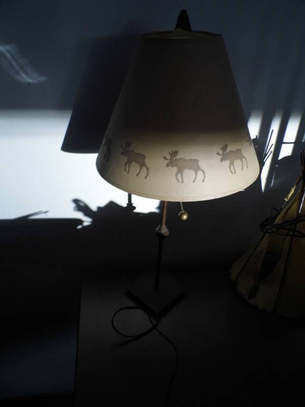 lot 138 image: Moose Light