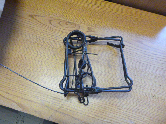 lot 50 image: Hunting Animal Traps