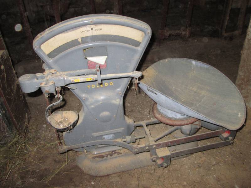 lot 52 image: Toledo scale...