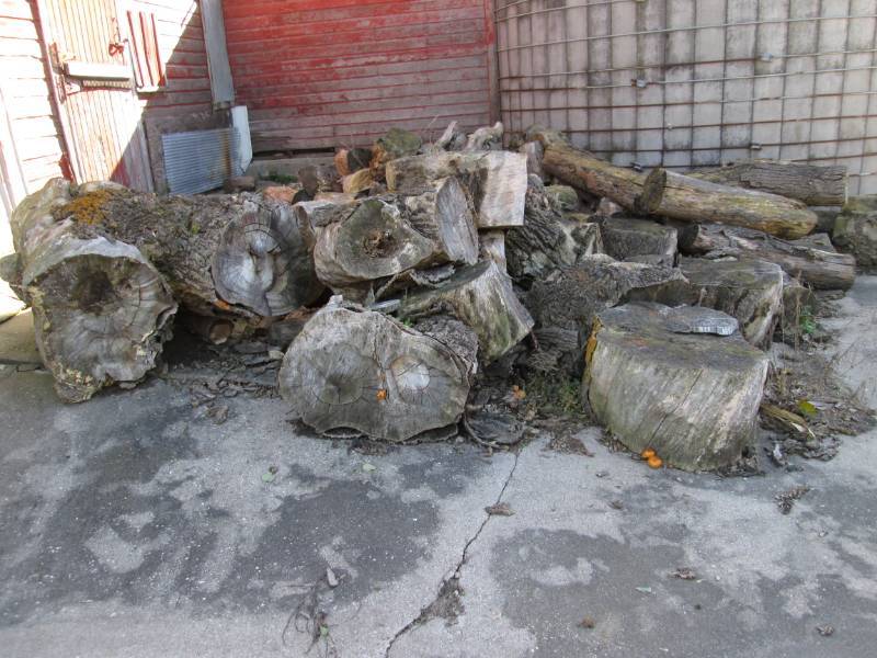 lot 65 image: Large pile of aged firewood, buyer ...