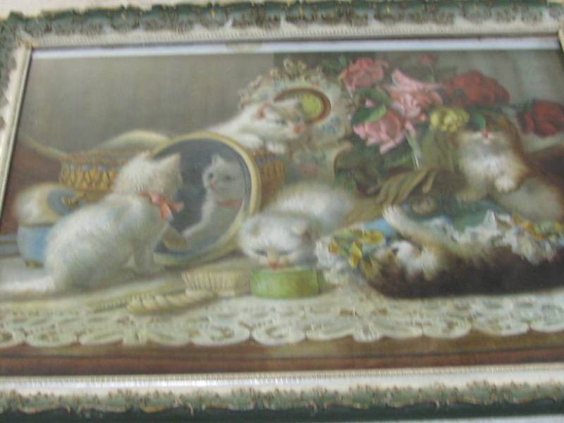 Vintage Cat Print