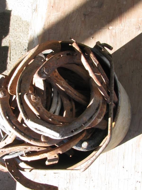Horse Shoes