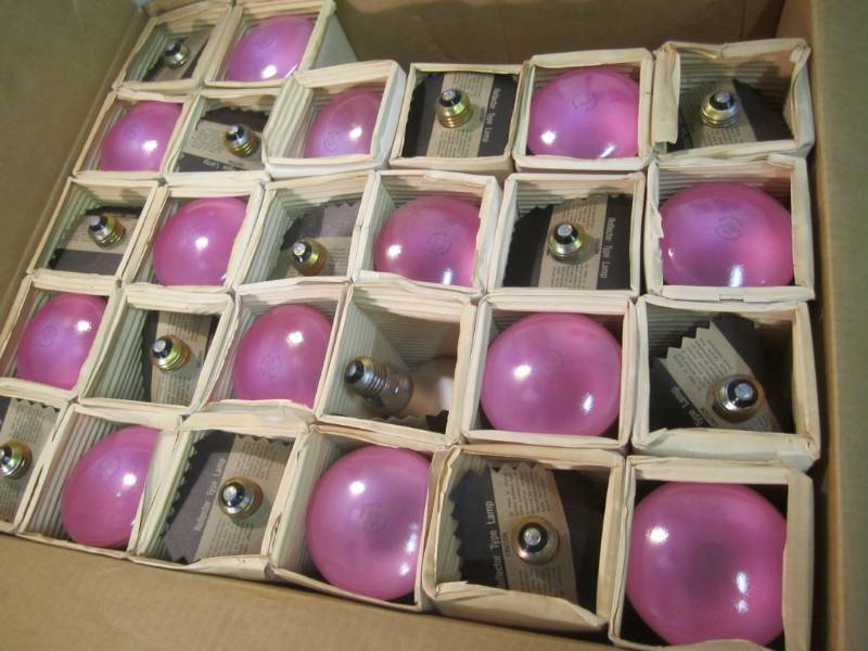 lot 196 image: Case with 26 Pink Flood Light Bulbs...