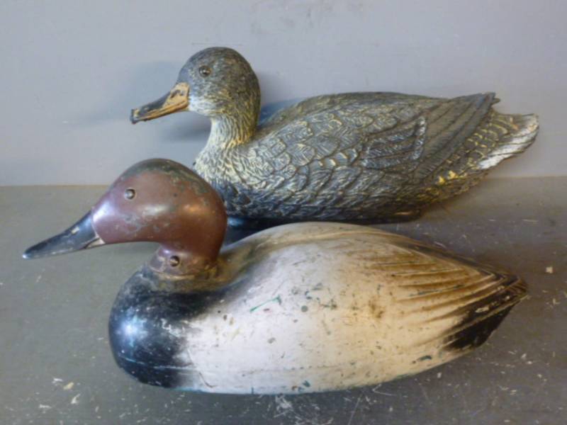 Duck Decoys