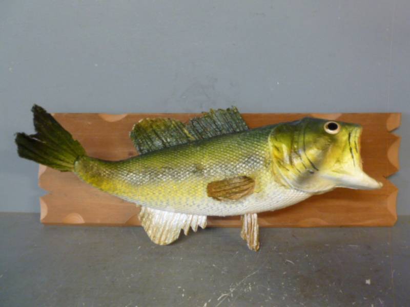 Artificial Fish Mount