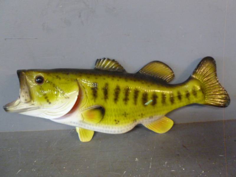 Fish Decoration