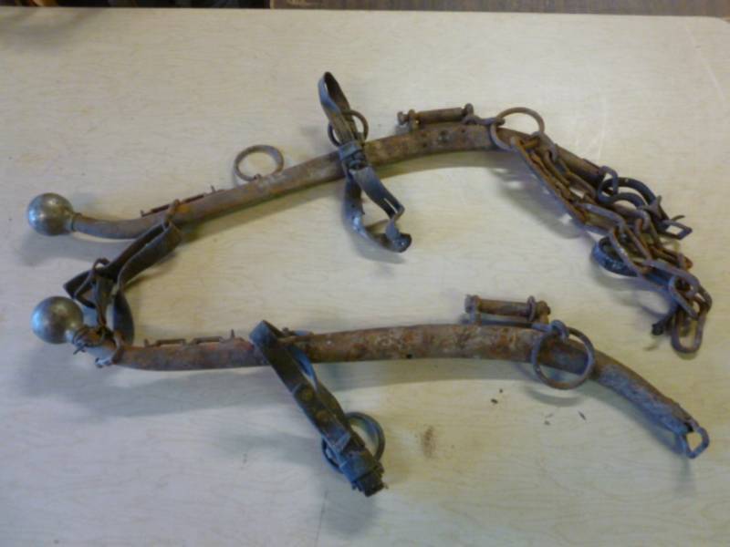 Antique Horse Equipment