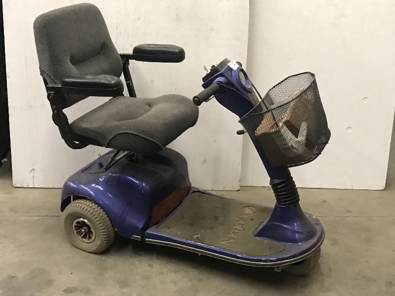 lot 13 image: Golden Companion Electric Mobility ...
